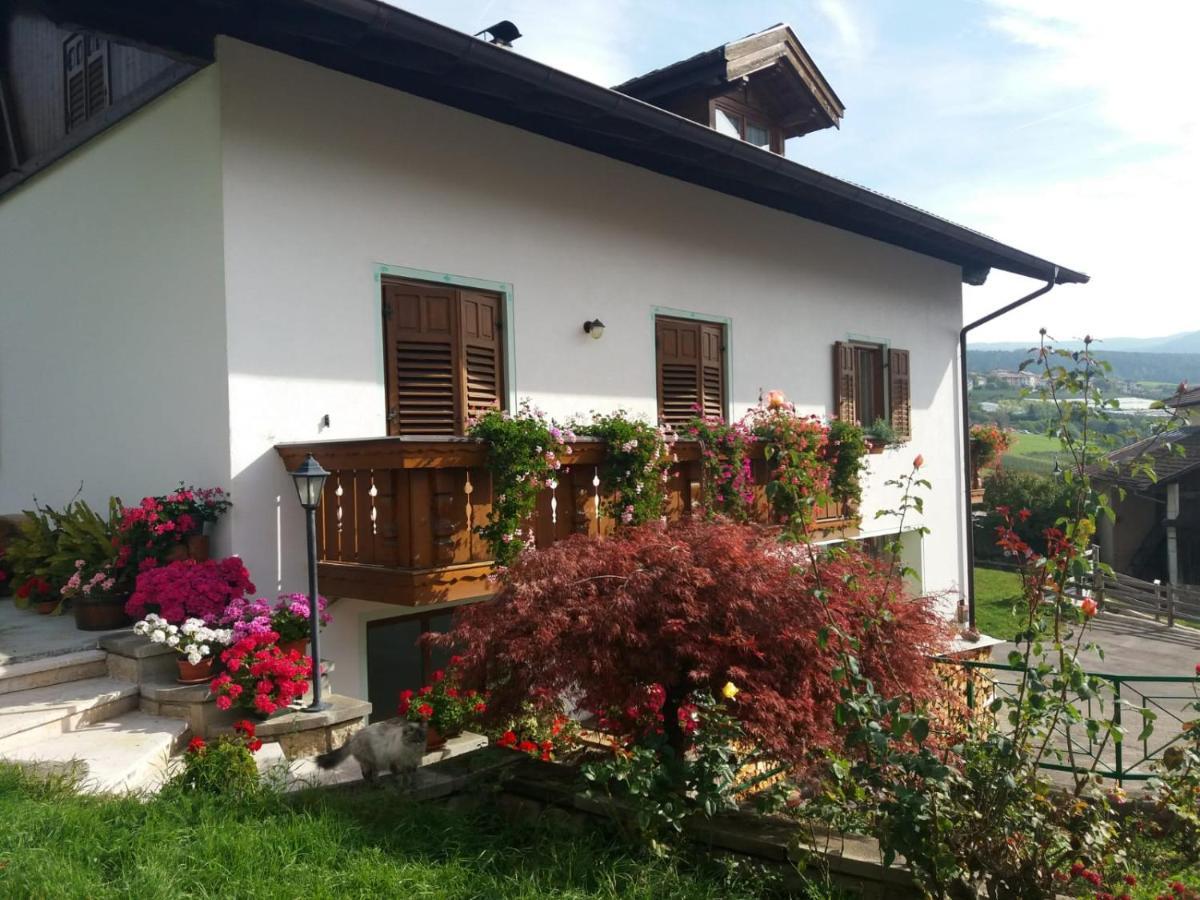 Appartamento Cologna Castelfondo 外观 照片