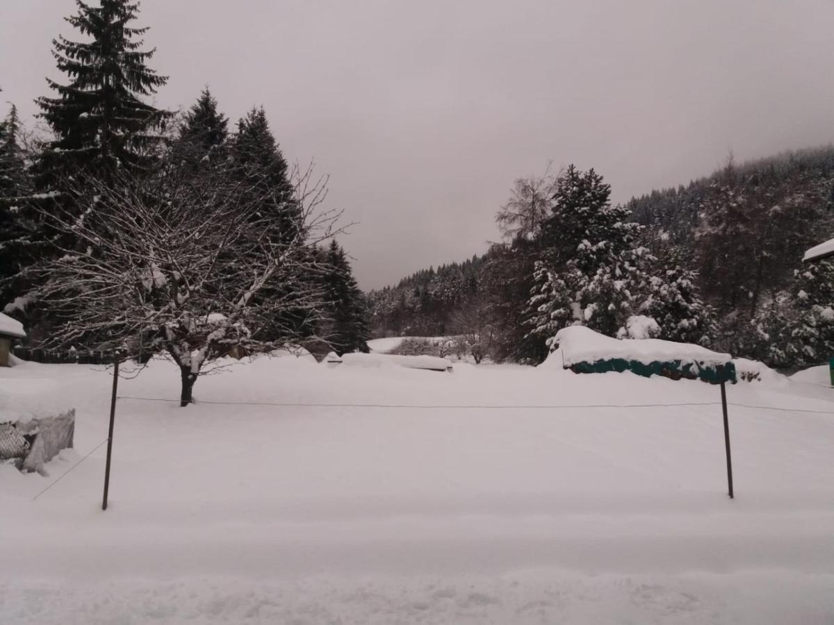Appartamento Cologna Castelfondo 外观 照片
